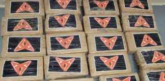 Illegal 900,000 Euro Cupra Branded Cargo: Here’s Why news-11082024-005750