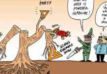 Stephff’s Cartoon: Introducing the New Orange Party – Satirical Illustration and Commentary news-12082024-181156