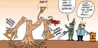 Stephff’s Cartoon: Introducing the New Orange Party – Satirical Illustration and Commentary news-12082024-181156