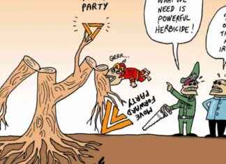 Stephff’s Cartoon: Introducing the New Orange Party – Satirical Illustration and Commentary news-12082024-181156