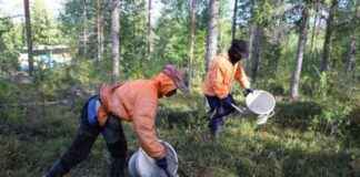 Berry-Picking Trafficking Trial: Opening Statements and Details news-13082024-182341