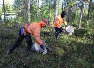 Berry-Picking Trafficking Trial: Opening Statements and Details news-13082024-182341