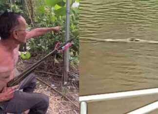 Crocodile Sighting in Chachoengsao Canal: Panic in the Community news-16082024-124406