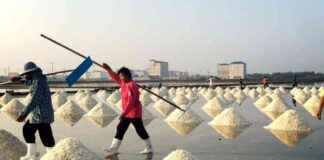 Reduce Salt Intake to Improve Health, Experts Advise news-17082024-064714