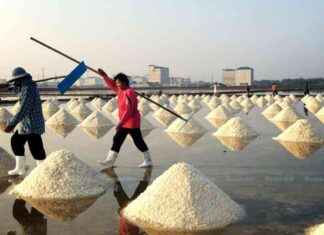 Reduce Salt Intake to Improve Health, Experts Advise news-17082024-064714