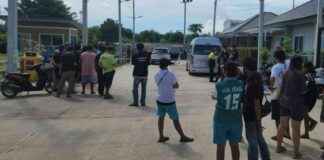 Tragic Murder in Rayong: Woman Fatally Shot in Front of Daughter news-18082024-233720