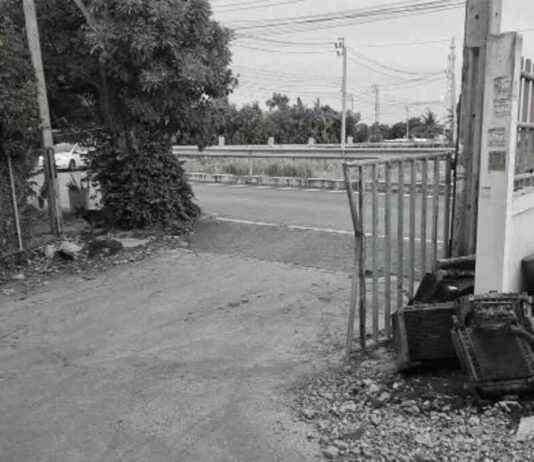 Victim Disarms Loan Sharks in Nonthaburi: Suspects Flee news-28082024-132511