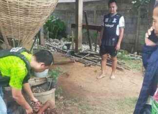 Man Murders Grandmother with Hoe and Knife in Bueng Kan: Shocking Crime Update news-01092024-134930