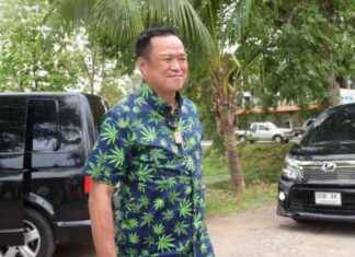 The Future of Cannabis in Thailand: Anutin’s Optimistic Outlook news-04092024-015803