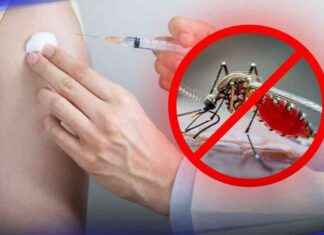 Affordable Dengue Fever Vaccines Offered by Thai Red Cross news-04092024-140101