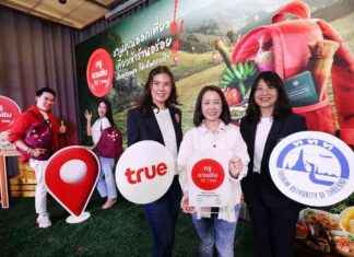 True Corporation Launches ‘True Taste Journey’ Project to Promote Culinary Tourism Trends in Thailand news-10092024-051248