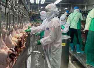 China Approves Three New Thai Poultry Plants for Export news-10092024-103128