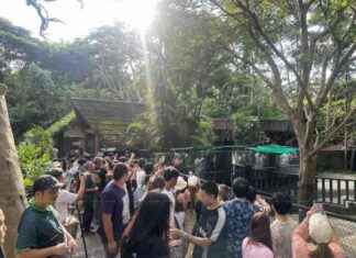 Limiting Visits to Moo Deng: New Five-Minute Rule Implemented news-14092024-141725