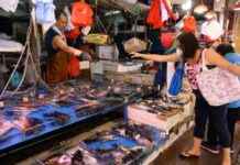 13 New Cases of Deadly Fish-Linked Infection in Hong Kong news-17092024-090313