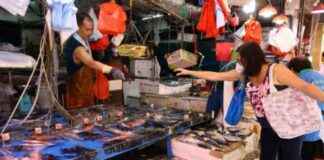 13 New Cases of Deadly Fish-Linked Infection in Hong Kong news-17092024-090313