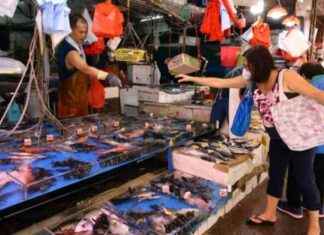 13 New Cases of Deadly Fish-Linked Infection in Hong Kong news-17092024-090313