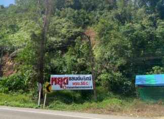 Land Bridge Modifications Sought by Human Rights Organization news-26092024-151940