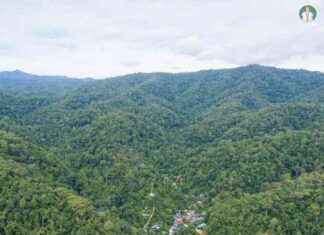 Battle of ‘นักสื่อสารชาติพันธุ์’ vs. ‘หินลาดใน’: สยบดราม่า เขาหัวโล้นต้นเหตุน้ำป่าถล่ม news-27092024-043212