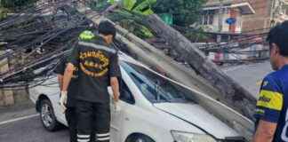 Effects of Car Crash on Power Pole Infrastructure: A Detailed Analysis news-06102024-042426