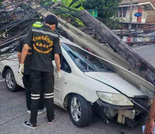 Effects of Car Crash on Power Pole Infrastructure: A Detailed Analysis news-06102024-042426