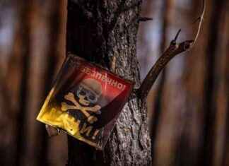 Support Ukraine’s Landmine Clearance Efforts: Aid Needed news-17102024-224401