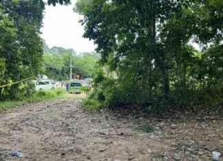 Rohingya Smugglers Arrested After Discovery of Bodies news-18102024-165748