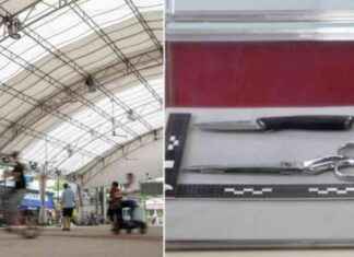 Preventing Terror Plot: Singapore Thwarts 17-Year-Old’s Attack Plan news-18102024-230048