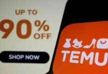 Investigation into Temu for Illegal Products: EU Crackdown news-31102024-145804