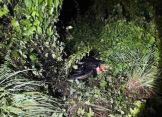 Policeman Shot Returning from Mosque in Pattani: Incident Details and Updates news-05112024-103654