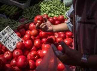 Enhanced Sweetness: Scientists Successfully Modify Tomatoes for Sweeter Flavor news-15112024-051048