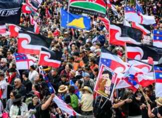 Maori Rights Rally Draws Thousands in New Zealand news-19112024-131915