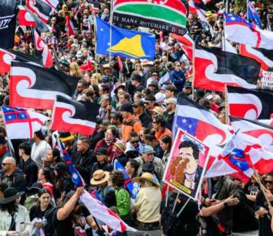 Maori Rights Rally Draws Thousands in New Zealand news-19112024-131915