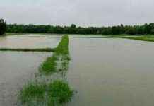 Severe Weather Alert: Heavy Rain Forecasted for Southern Region news-26112024-050301