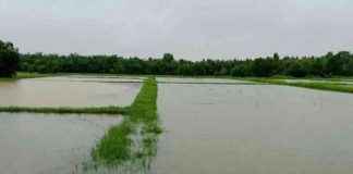 Severe Weather Alert: Heavy Rain Forecasted for Southern Region news-26112024-050301