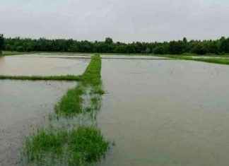 Severe Weather Alert: Heavy Rain Forecasted for Southern Region news-26112024-050301