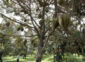 Strategies for Fighting Against Nominees: A Detailed Battle Plan news-27112024-171900