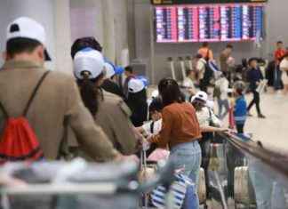 New Year’s Domestic Flights: 50,000 Tickets with 30% Discount news-28112024-052237