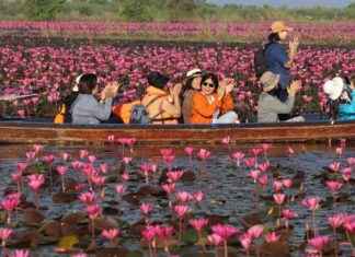 Boosted by Tourism, Consumption, and Exports, Thai Economy Shows Improvement in October news-29112024-114000