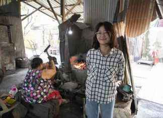 Craftsmanship in Ban Bu: A Deep Dive into the Skilled Artisans of the Village news-30112024-054757