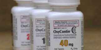 Consultants Settle $650m US Opioid Case: Details and Impact consultants-settle-650m-us-opioid-case-details-and-mpact