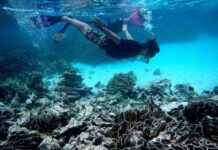 Unlicensed Tour Guides: A Growing Issue in Tourism Industry unlicensed-tour-guides-a-growing-ssue-in-tourism-ndustry