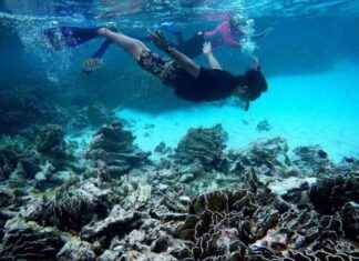 Unlicensed Tour Guides: A Growing Issue in Tourism Industry unlicensed-tour-guides-a-growing-ssue-in-tourism-ndustry