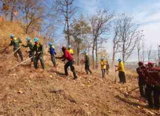 Arrested Forest Burners in Korat: Consequences and Solutions arrested-forest-burners-in-korat-consequences-and-solutions
