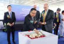 Infineon Plant Opening Date and Details Revealed for 2026 nfineon-plant-opening-date-and-details-revealed-for-2026