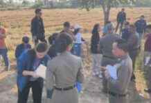 Police Search for Serial Rapist Targeting Elderly Victims: Latest Updates police-search-for-serial-rapist-targeting-elderly-victims-latest-updates