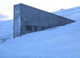 Preserving Thai Rice Seeds in Global Seed Vault preserving-thai-rice-seeds-in-global-seed-vault