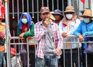 Support Needed: Thai Rice Farmers Seek Assistance Amid Price Drop support-needed-thai-rice-farmers-seek-assistance-amid-price-drop