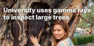 Using Gamma Rays for Large Tree Inspection. using-gamma-rays-for-large-tree-nspection