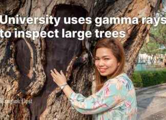 Using Gamma Rays for Large Tree Inspection. using-gamma-rays-for-large-tree-nspection