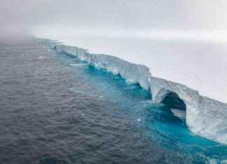 Giant iceberg halts, protecting wildlife sanctuary giant-iceberg-halts-protecting-wildlife-sanctuary
